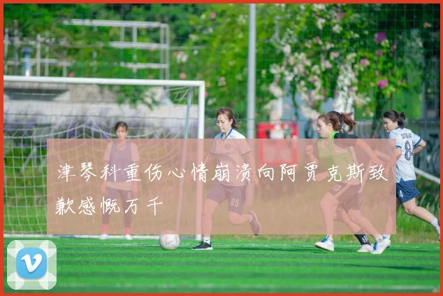 津琴科重伤心情崩溃向阿贾克斯致歉感慨万千